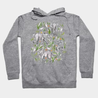 Baby Elephants and Egrets in watercolor - blush pink Hoodie